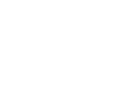 Above Basketball Academy 
